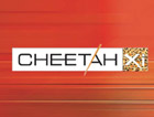 cheetah-xi